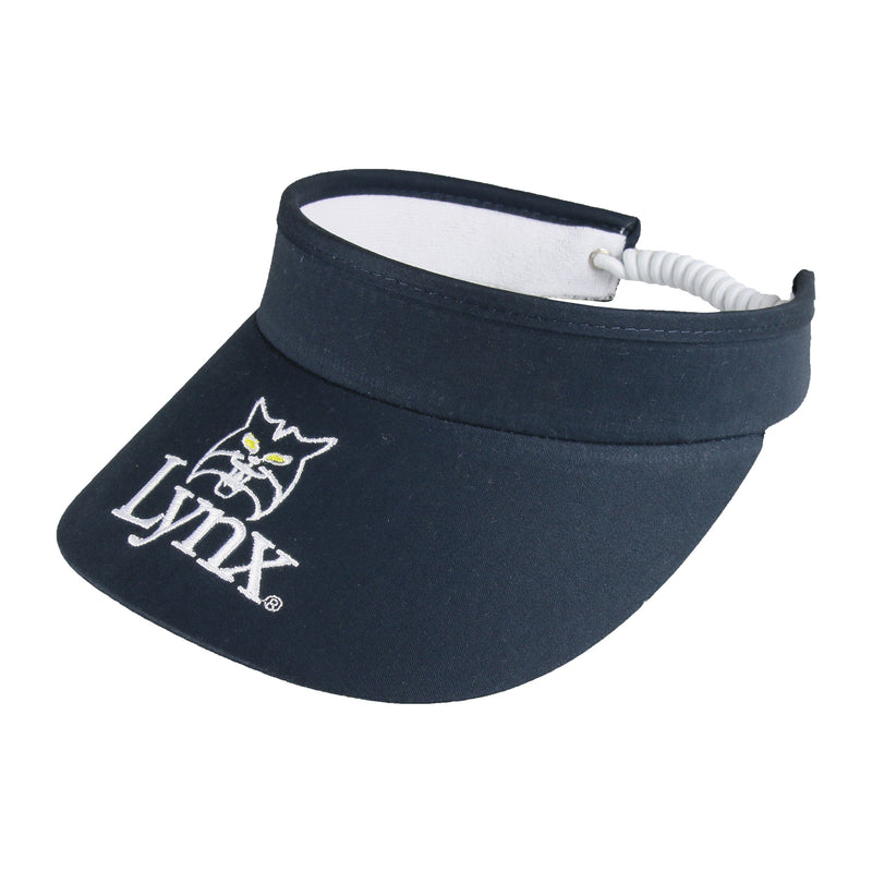 Visors