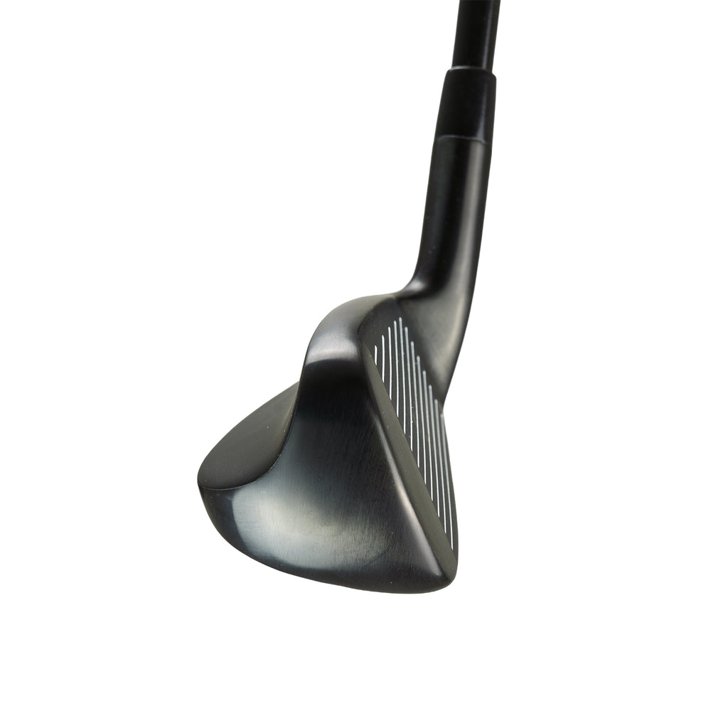 Lynx USA Model